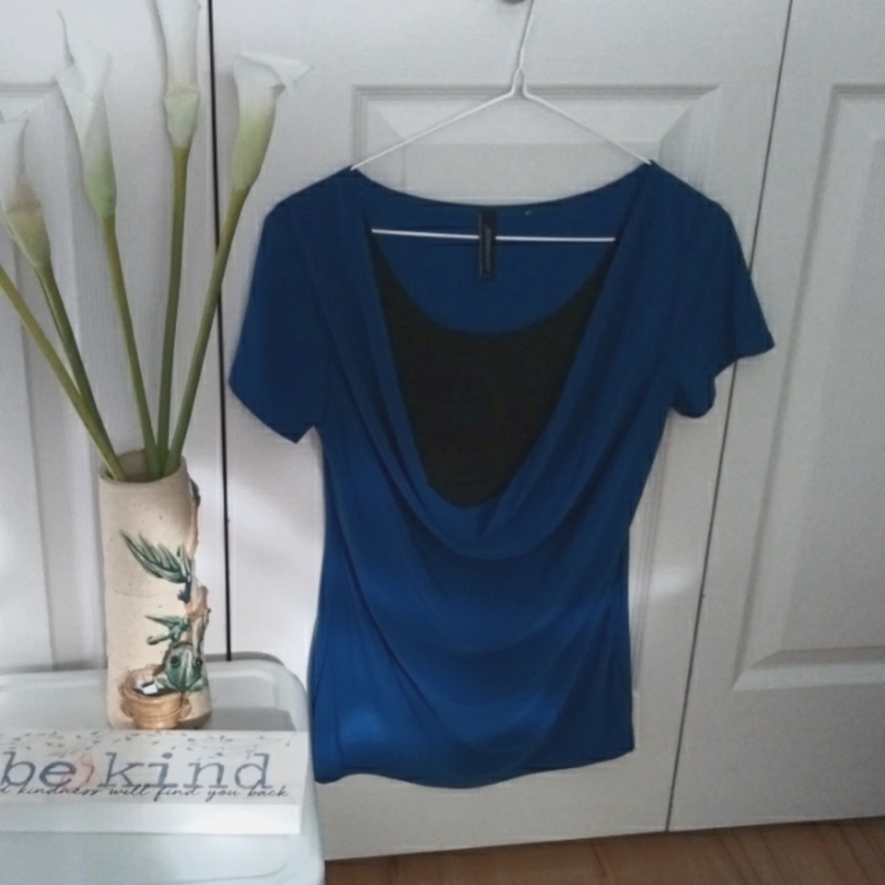 T) *💖 2/$15 or 4/$25, SP, Jason Maxwell business blouse (blue/black)